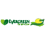 gpi green partners international GmbH & Co. KG